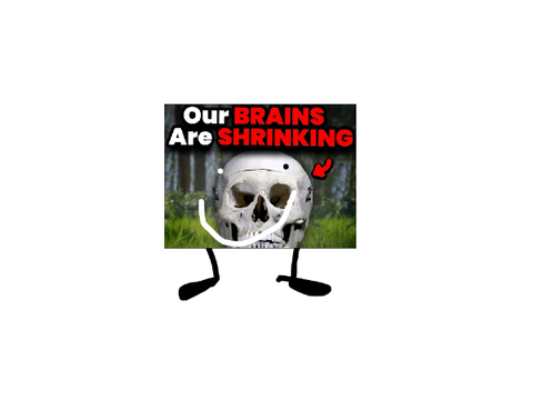 Our BRAINS Are SHRINKINGy