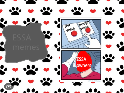 ESSA memes (part 3)