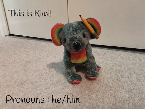 Meet Kiwi! :3