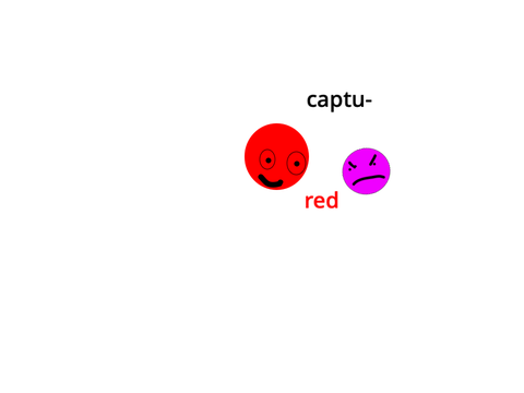 captu-red