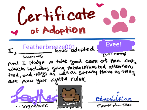 Cat Adoption Event ~ 100+ Followers special  remix