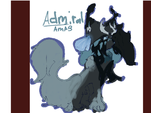 “ Ice Blue ” An Admiral application!