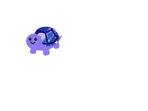 Tag the turtle