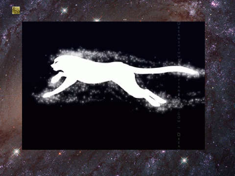  -running with the stars-