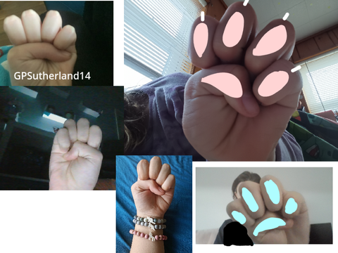 ADD YOUR PAW TO STOP THERIAN AND FURRY HATE remix remix remix remix