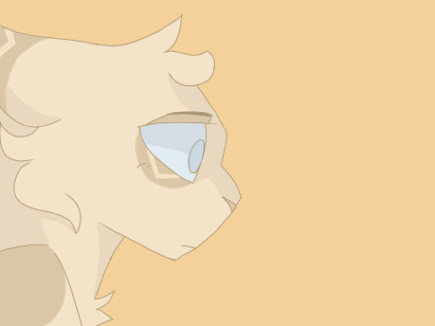 {WISIS} Part 12 