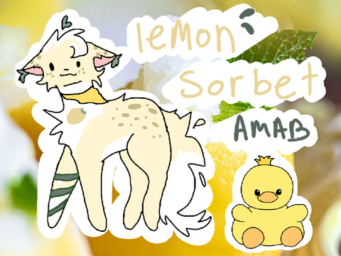 Lemon Sorbet's Relationship Finder