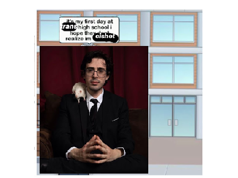 Mantidfly's bio