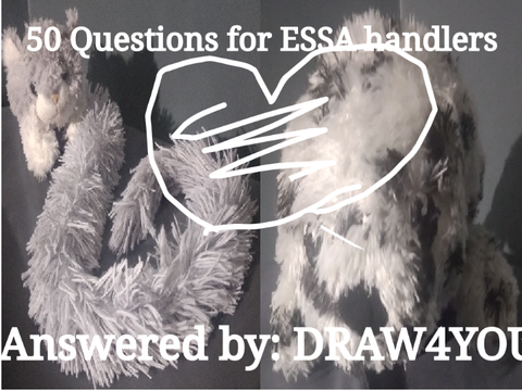 50 Questions for ESSA handlers 