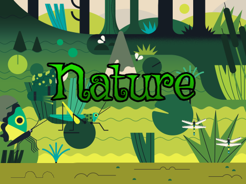 ✨Nature✨