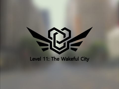 Level 11