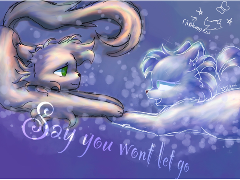 Say you wont let go