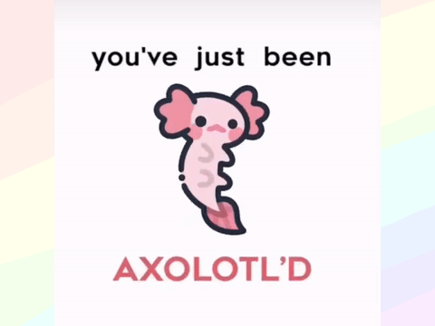 axolotls with dragons