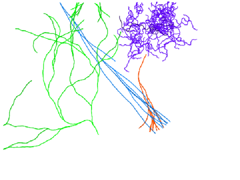 Pen territory simulation