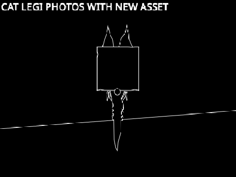 Cat Legi Photos With New Asset