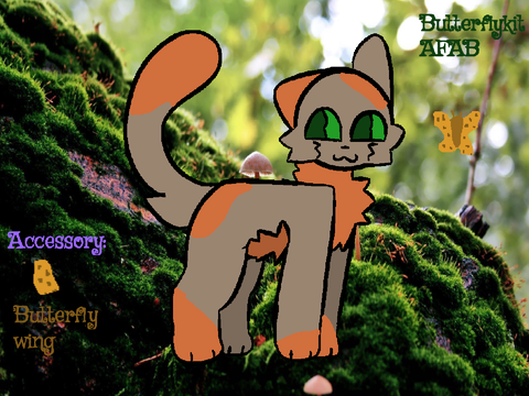 I Think We're Alone Now ⸾ A Butterflykit Application