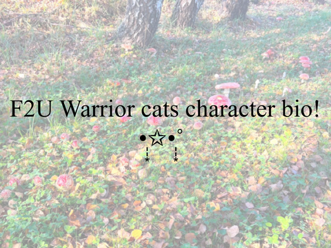 F2U WC character bio