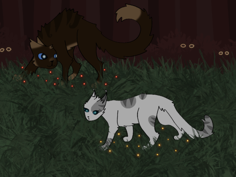 Ivy & Hawk contest entry 