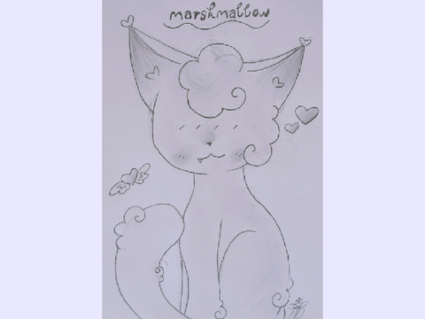 ~•Art of Marshmallow•~
