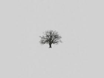 Seasons; John Michael Howell