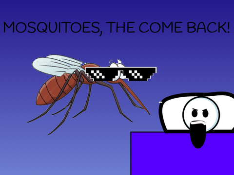 Mosquitoes: the come back