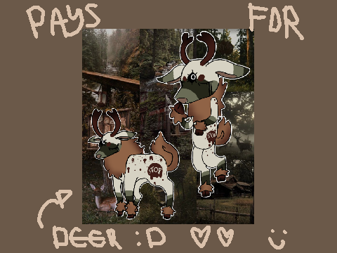 payments for 3 . deer