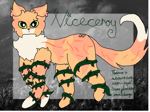 Viceroypaw’s valiant vanity