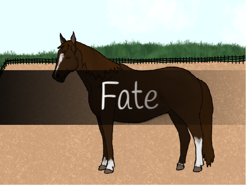 Fate