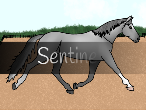 Sentinel