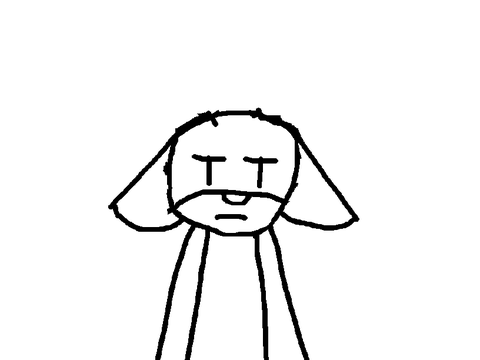 Cat Animation