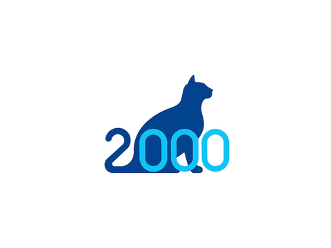 cattio2000 PFP