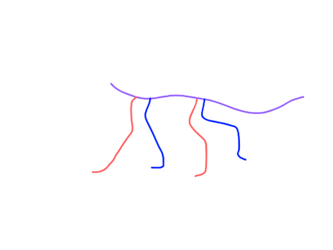 walk animation practice