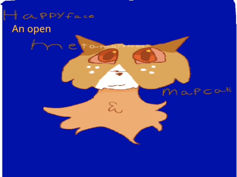    ll Happy face ll an open ll metamorphosis map call ll 