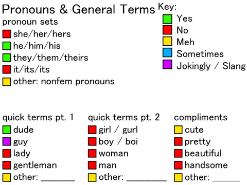 Terms & Pronouns Sheet remix