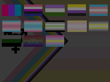pride flags - gender identity collab