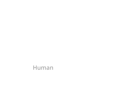 Hmuan
