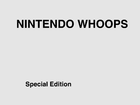 Nintendo WHOOPS- Director's Cut