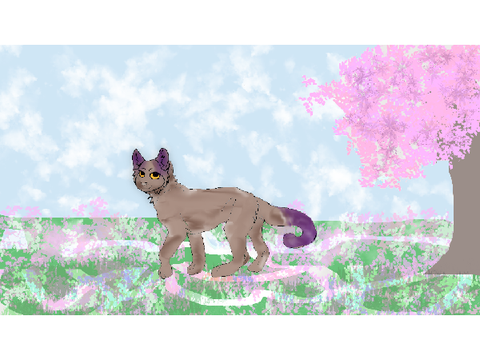 Meet Missy! // Warrior Cats :3