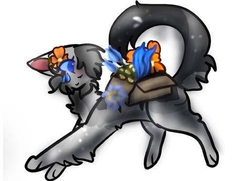 Payment for @RavenMTA