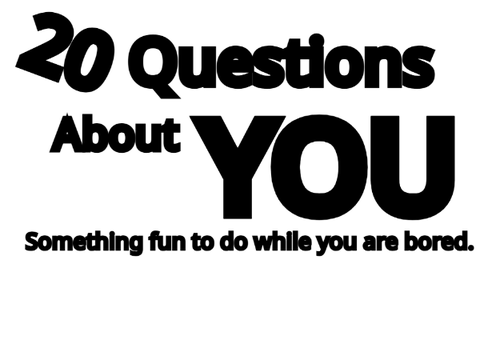 20 Questions About YOU! | Remix this remix