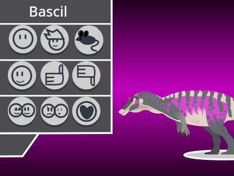 -Bascil-