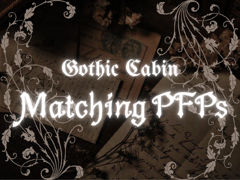 ⋆.˚ gothic matching pfps ❦ july '26 ·˚࿔