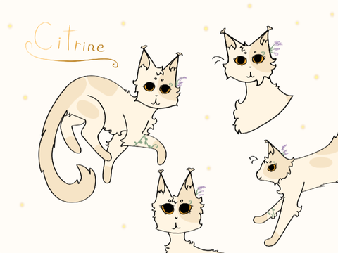 NEW OC!