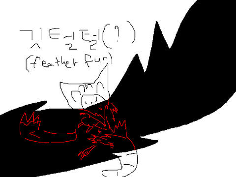 고양이1