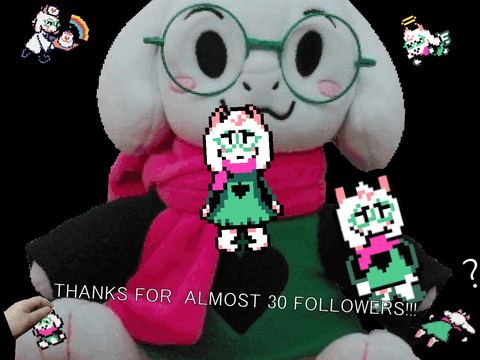 26 Follower Special