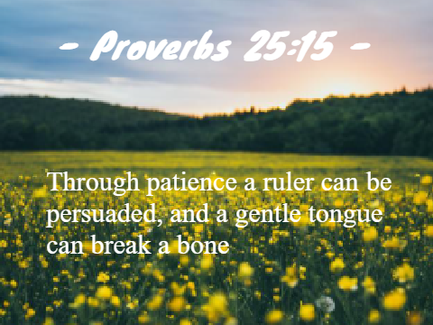  ˋ°•*⁀➷Verse of the week ~ 6/25