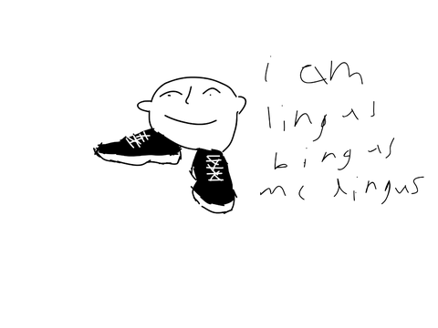 lingus bingus mc dingus