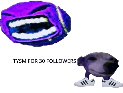 30 FOLLOWERS!!!!!!