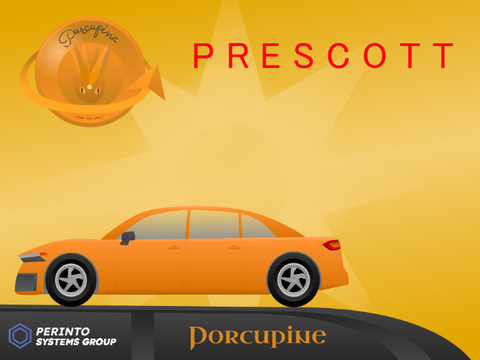 2023-Present Porcupine Prescott