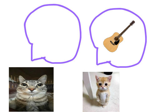 cat singing but little timmy ruins it with his guitar